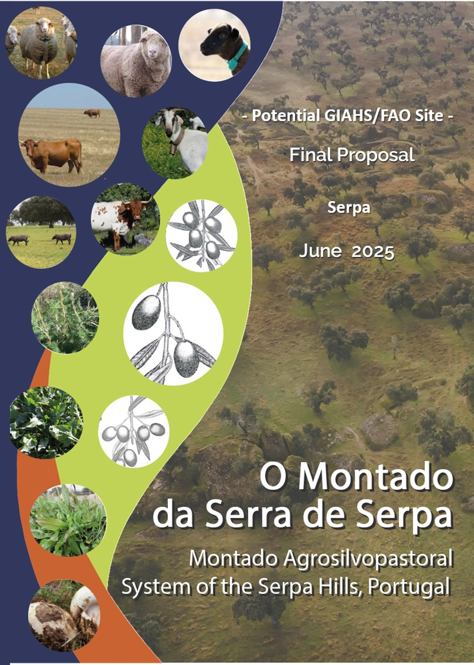 Sistema Agrosilvopastoril do Montado da Serra de Serpa Reconhecido Pela FAO como Património Agrícola Mundial