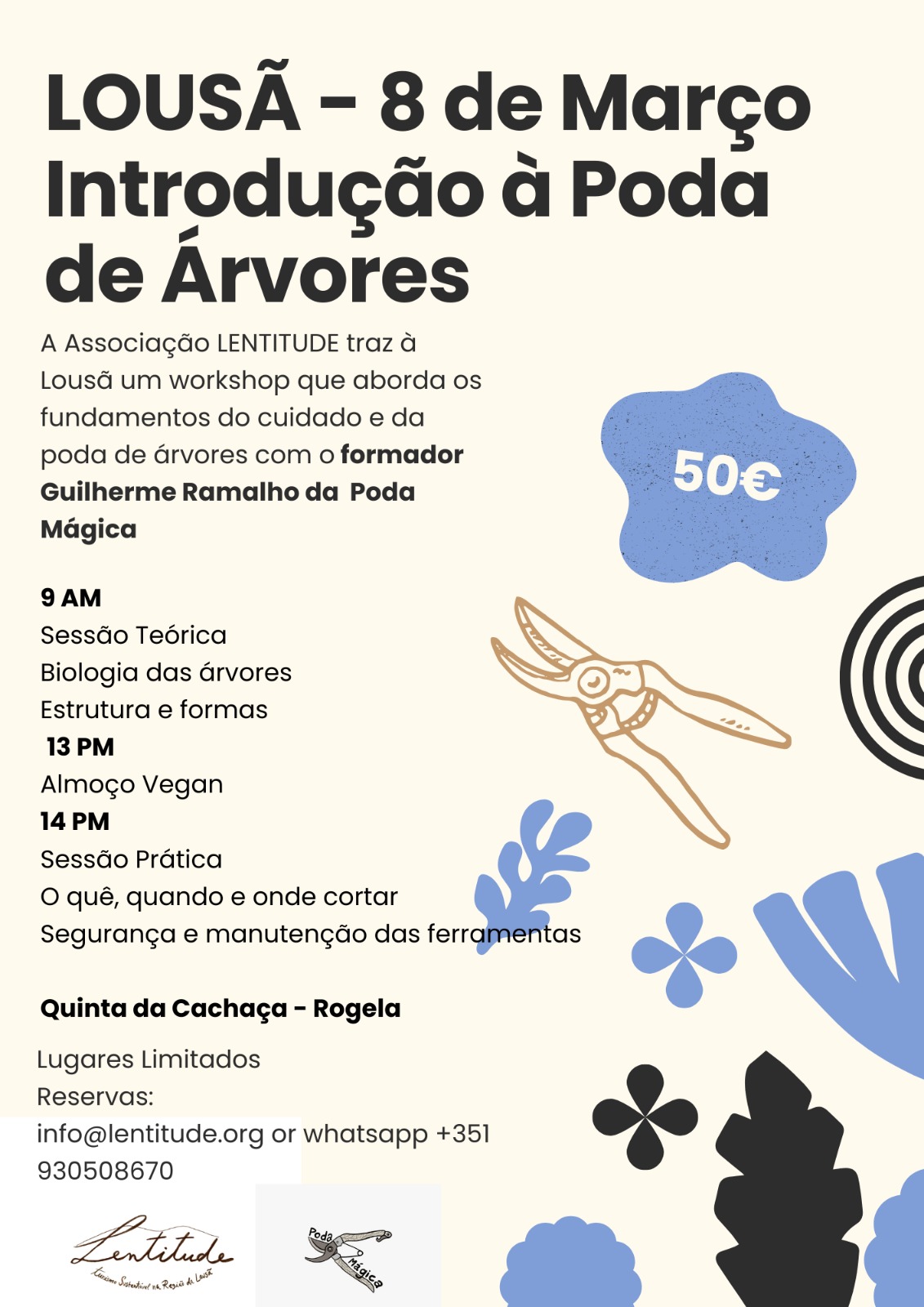 WhatsApp Image 2026-02-27 at 15.14.45