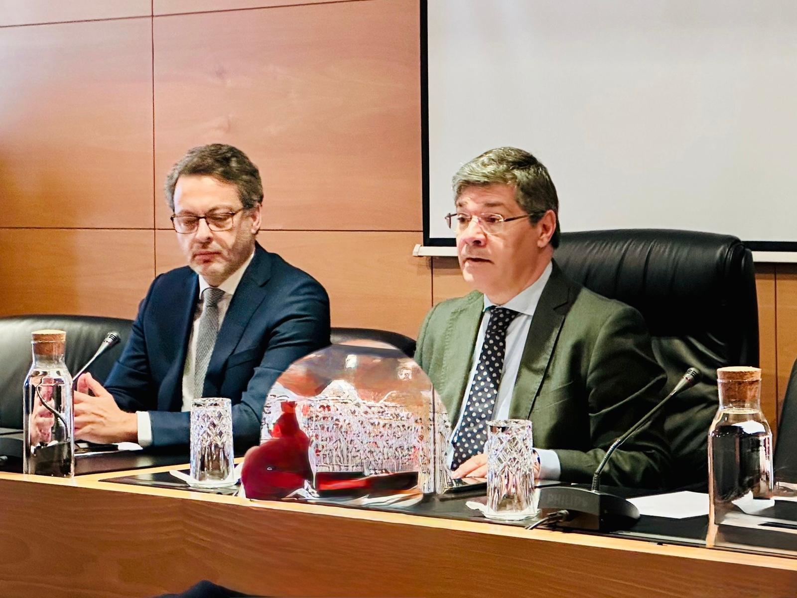 Animar participa em audição pública sobre o futuro da Economia Social e o papel da CASES