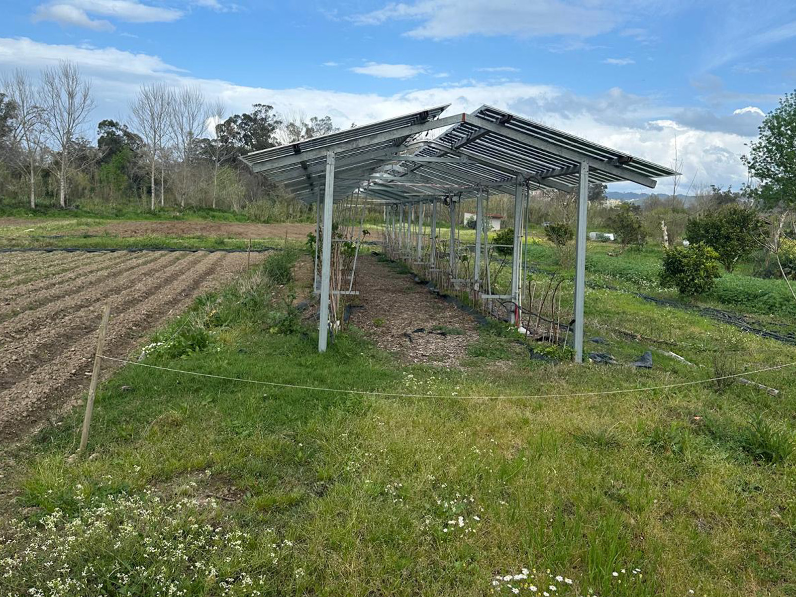 WhatsApp Image 2026-03-19 at