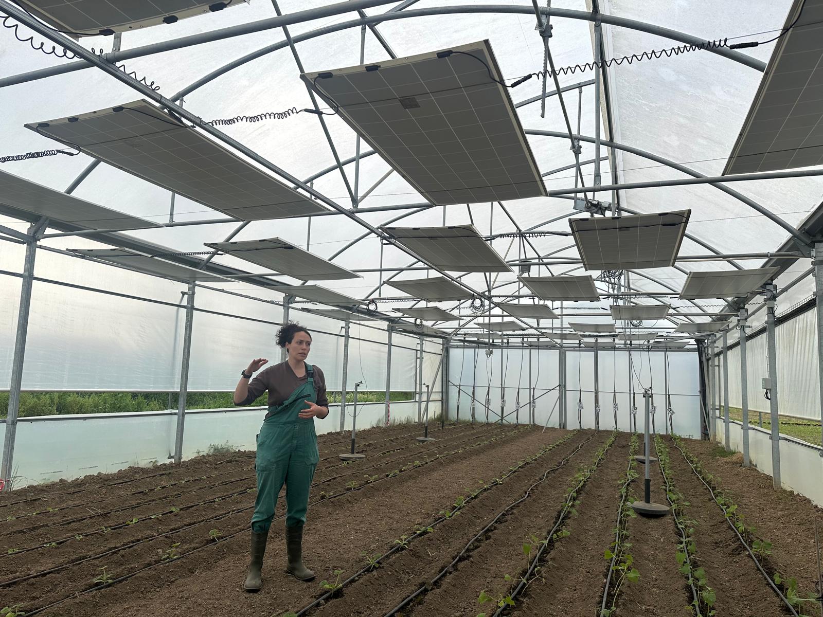 WhatsApp Image 2026-03-19 at 11.24.27 (5)