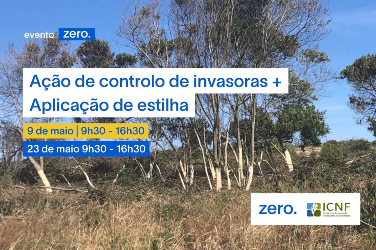 EXEMPLO-banner-2-1200x0