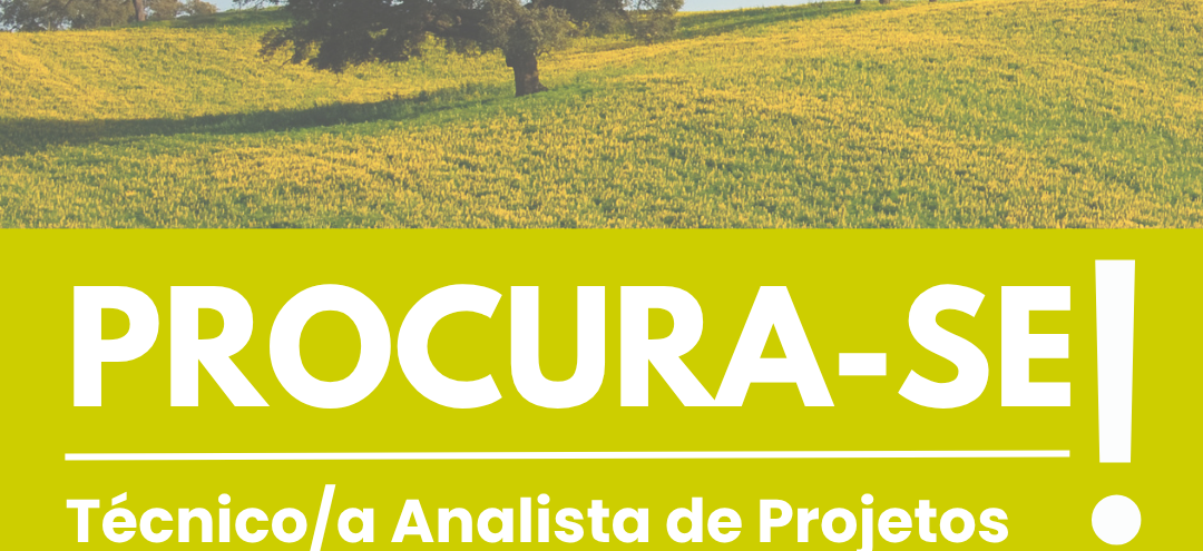Copia-de-Copia-de-Copia-de-Logo-1080x495