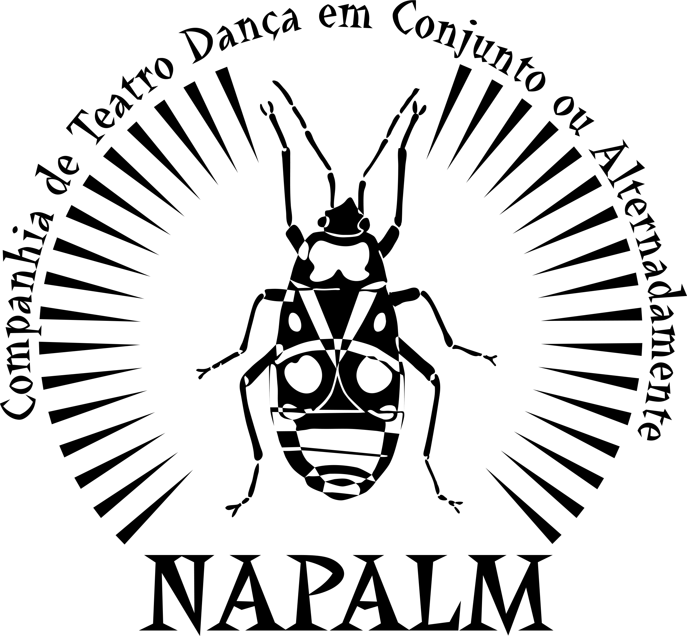 logo napalm_preto